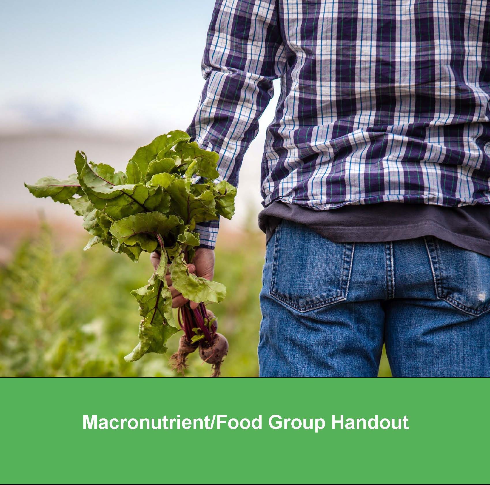 Macronutrient-Food-Group-Handout_Page_1