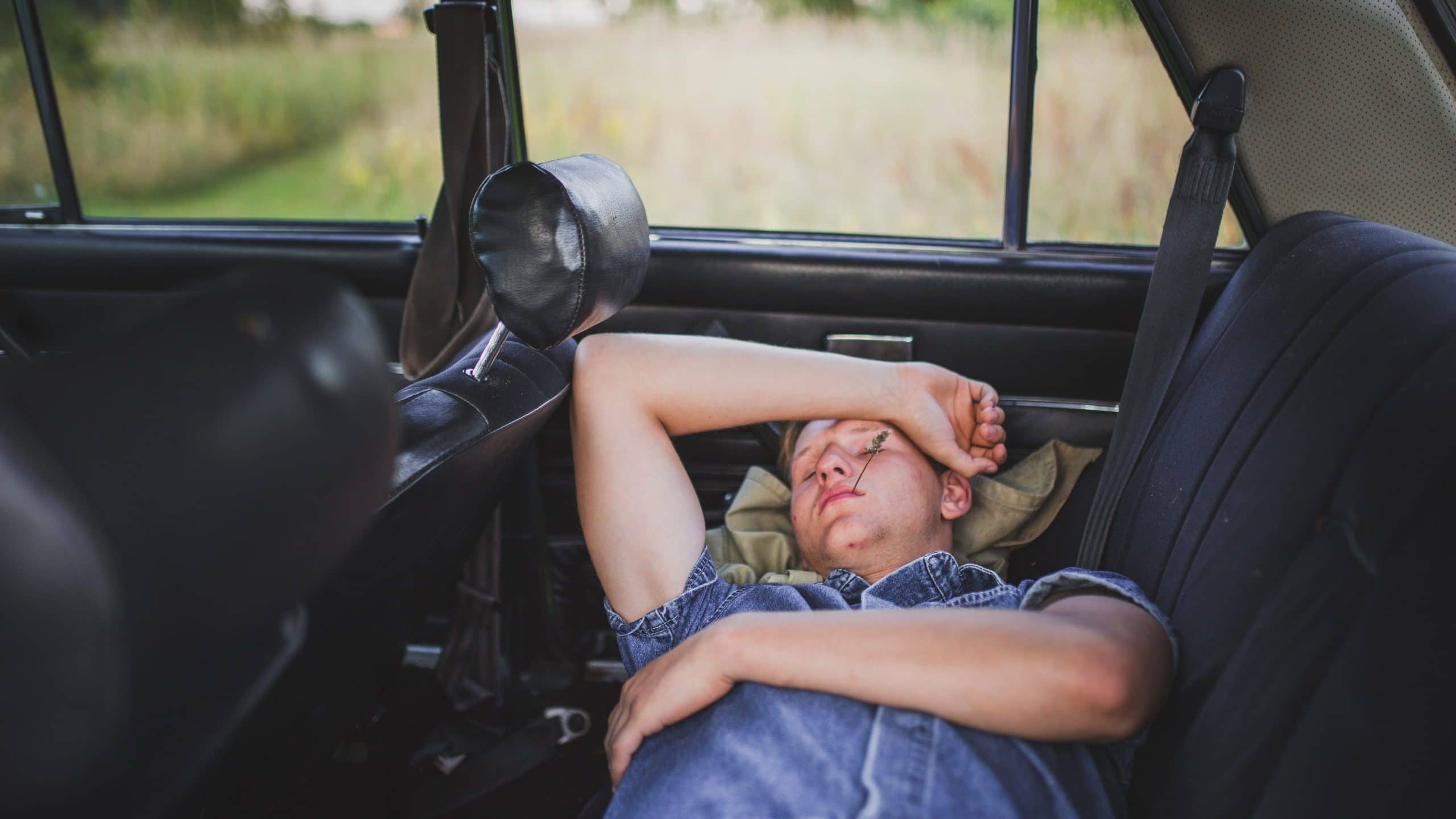 elvis-bekmanis-2Z9qLhfWcWM-unsplash(2)